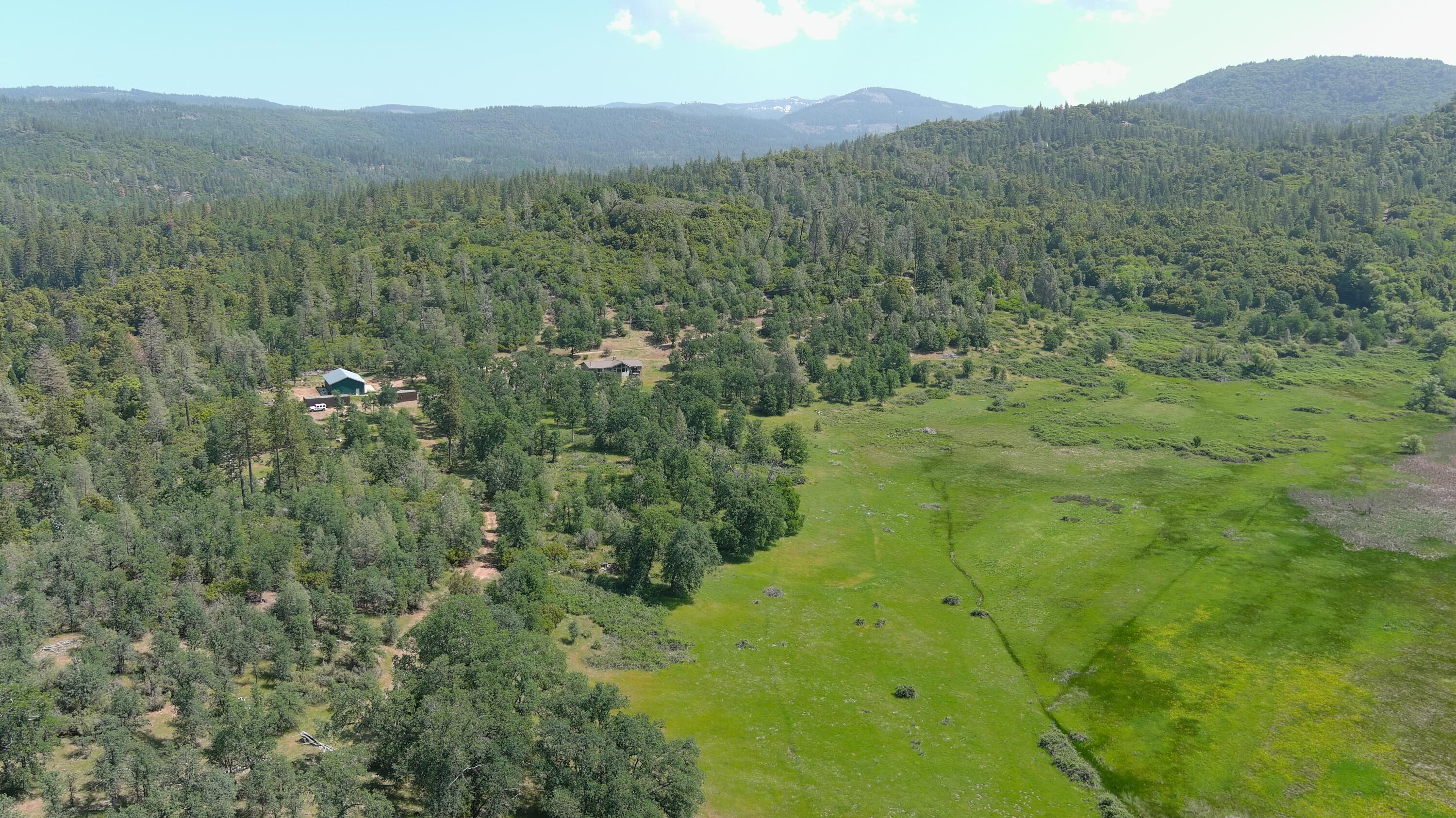 13080 Fern Road Whitmore, CA 96096 - Photo 40 of 49 a view of a lush green hillside and a mountain