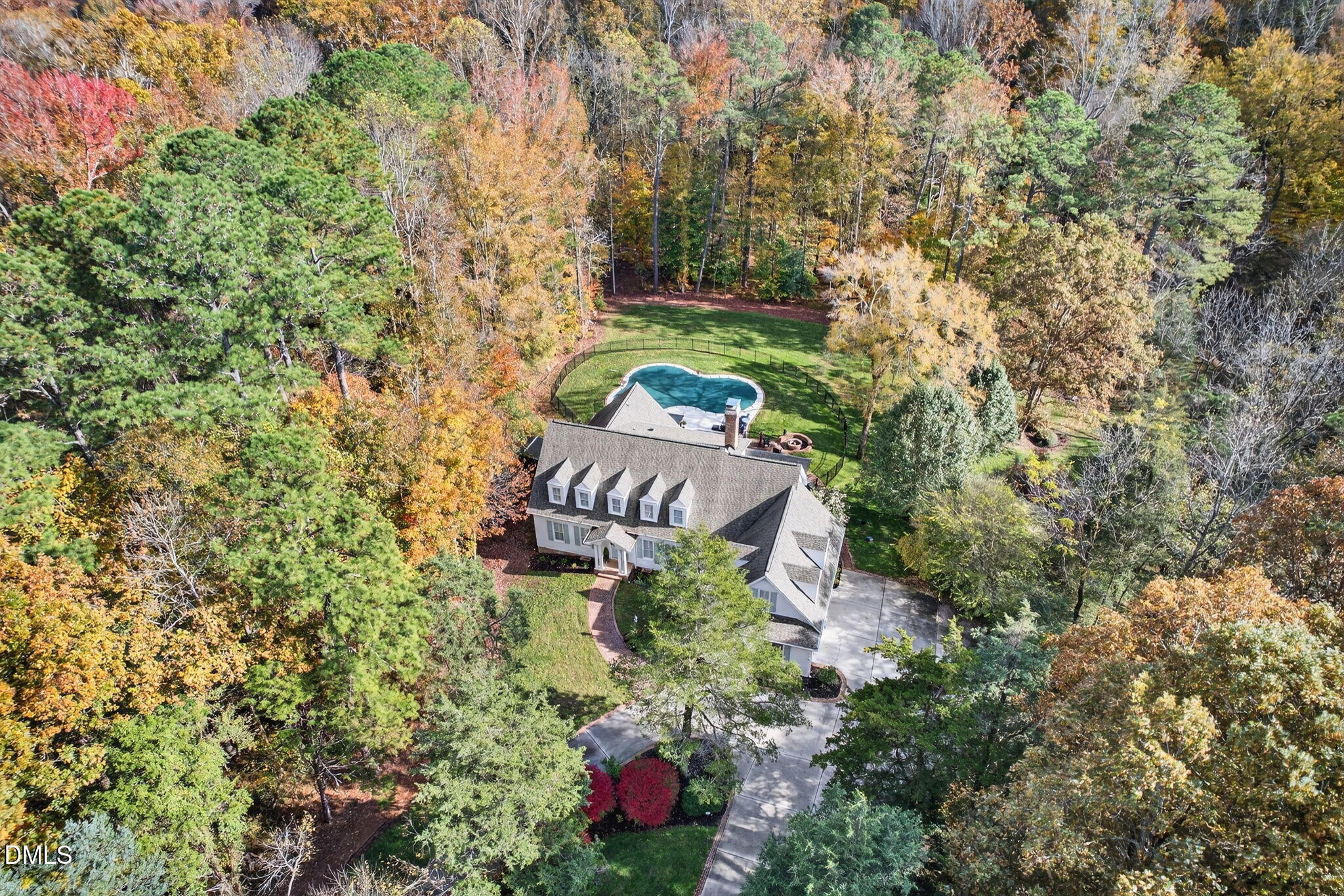 Nestled in the Trees