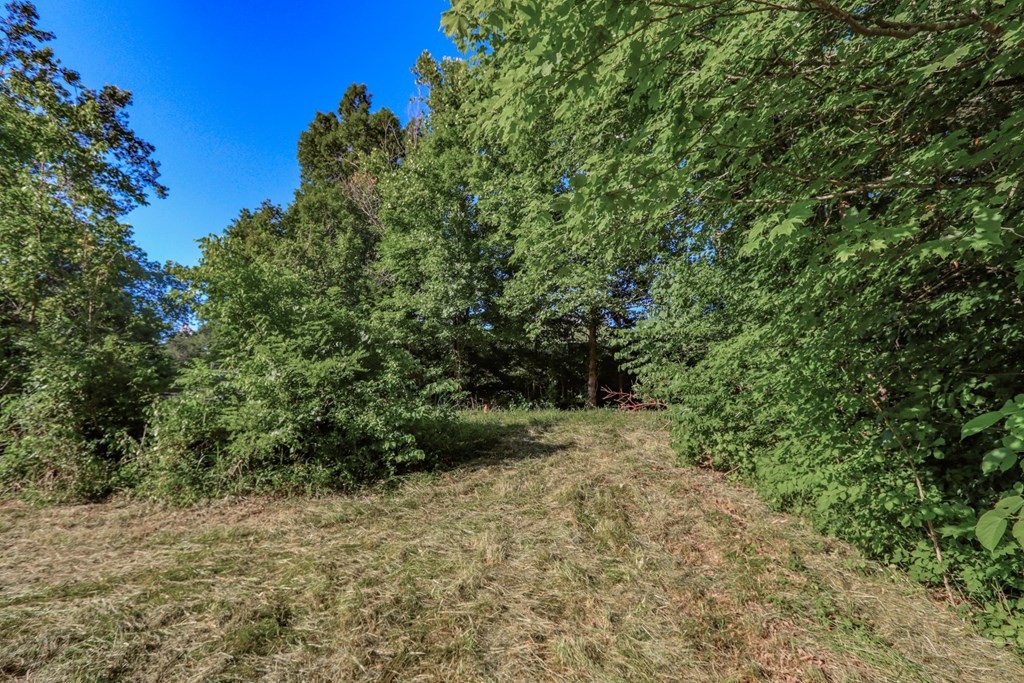 724 Sims Road Sevierville, TN 37876 - Photo 30 of 34 Gallery Image 30
