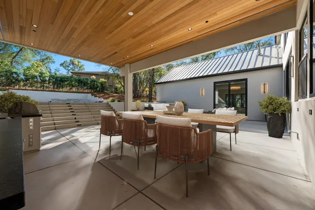 a view of a garden with a tree