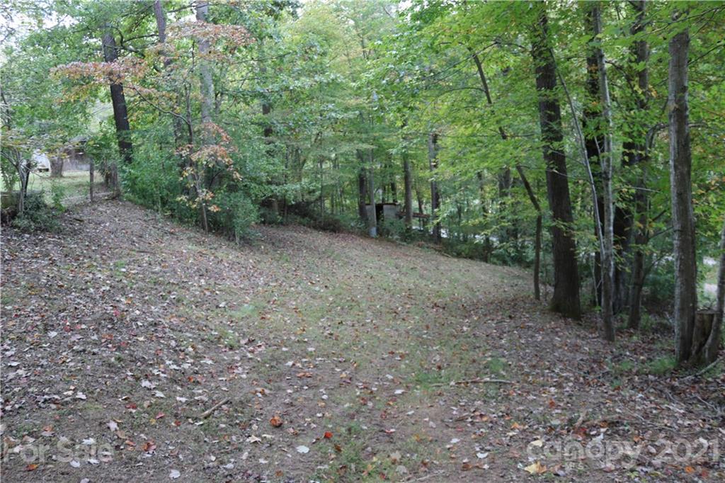 10 Elkins Road Leicester, NC 28748 - Photo 21 of 24 Gallery Image 21