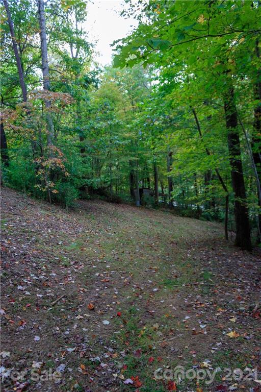 10 Elkins Road Leicester, NC 28748 - Photo 22 of 24 Gallery Image 22