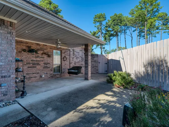 a view of a backyard with plants