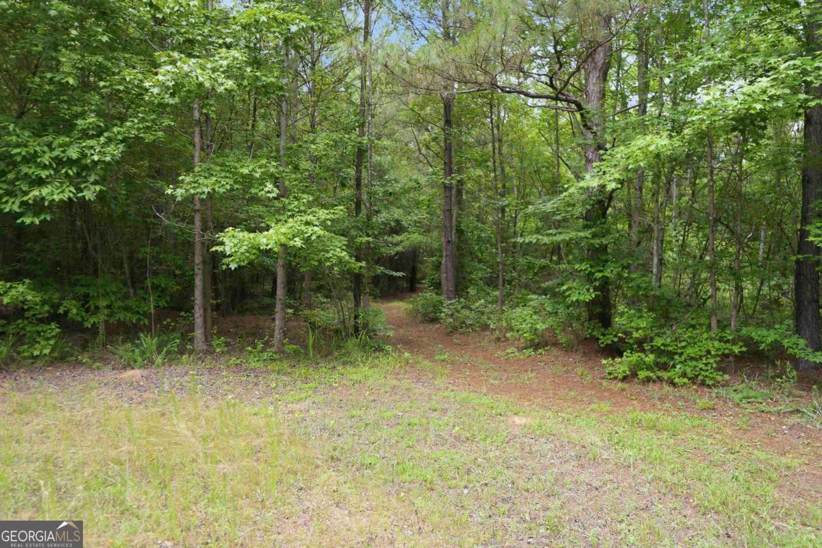 0 Pear Orchard Road Greensboro, GA 30642 - Photo 19 of 34