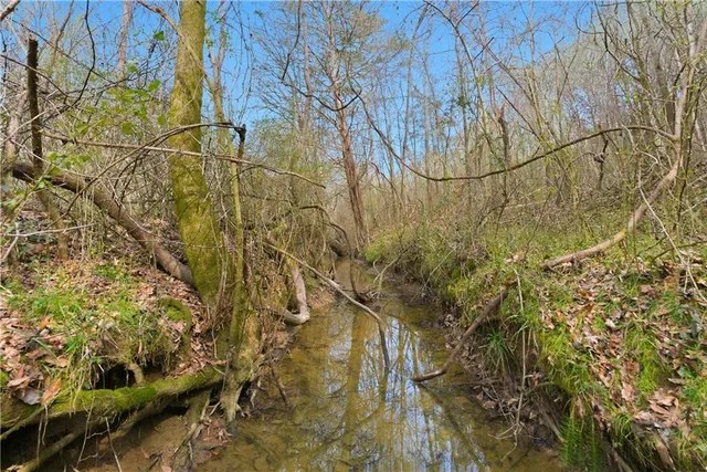 $60,000 | 45 Roosevelt, Summerville, GA 30747