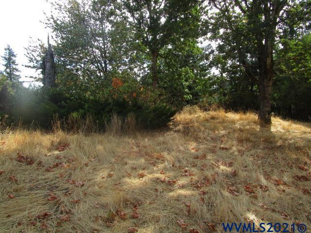 1066 Twin Hills Road Southeast Jefferson, OR 97352 - Photo 12 of 13