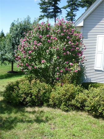 33 Two Ponds Road Belchertown, MA 01007 - Photo 26 of 28