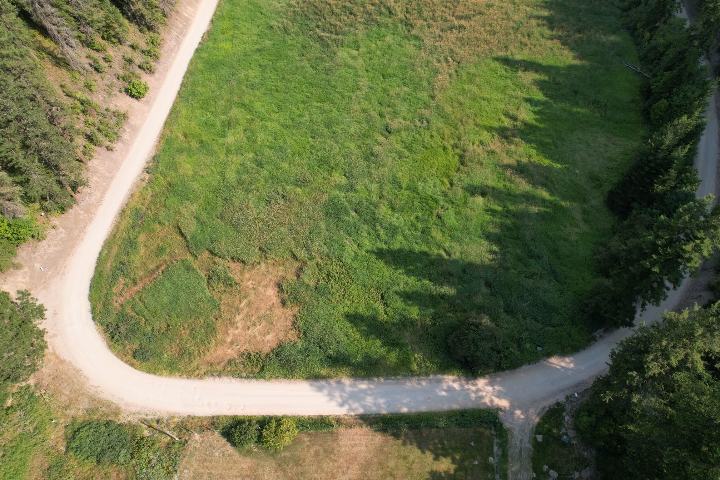 41-xx North Deer Lake Road Loon Lake, WA 99148 - Photo 4 of 16