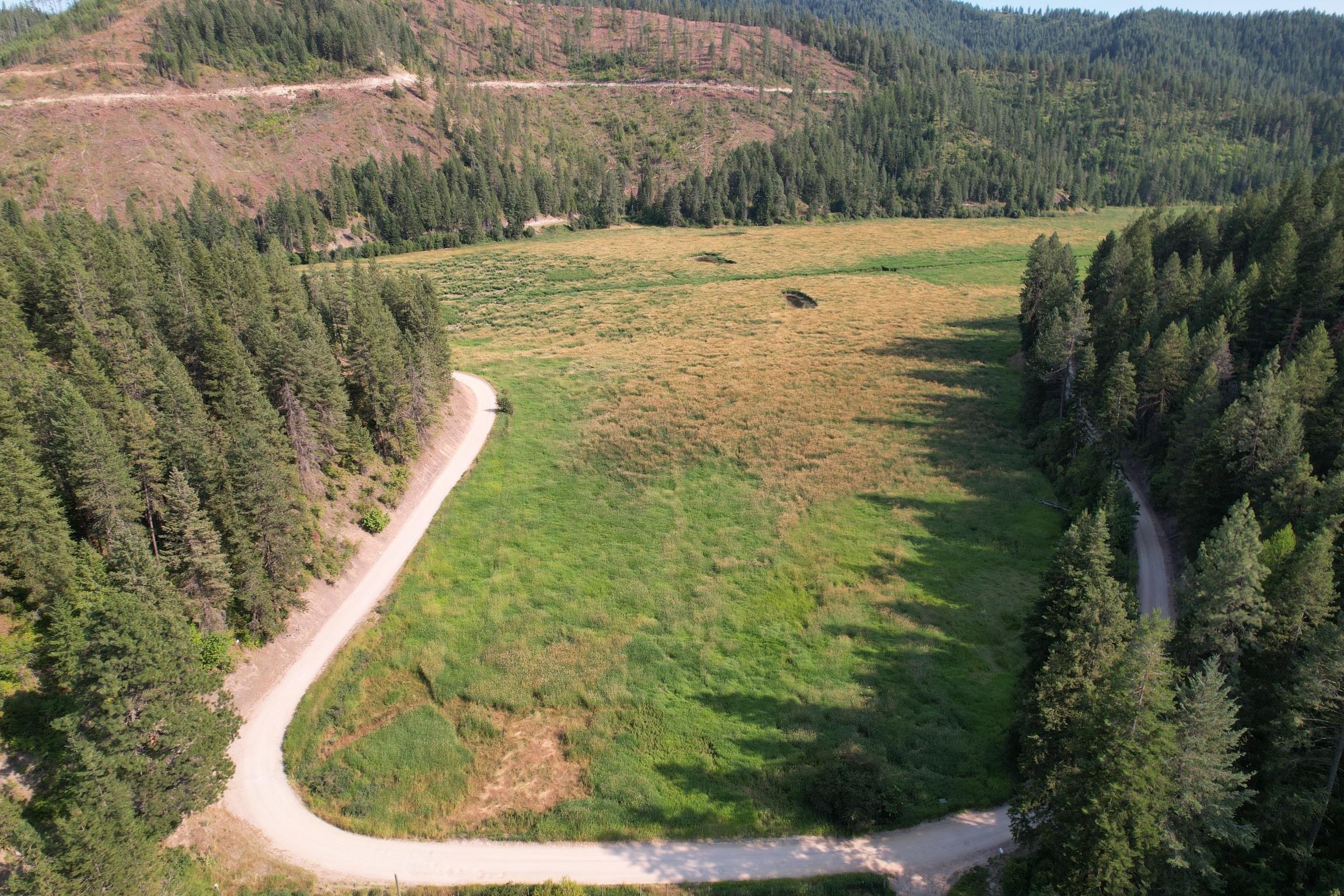 41-xx North Deer Lake Road Loon Lake, WA 99148 - Photo 6 of 16