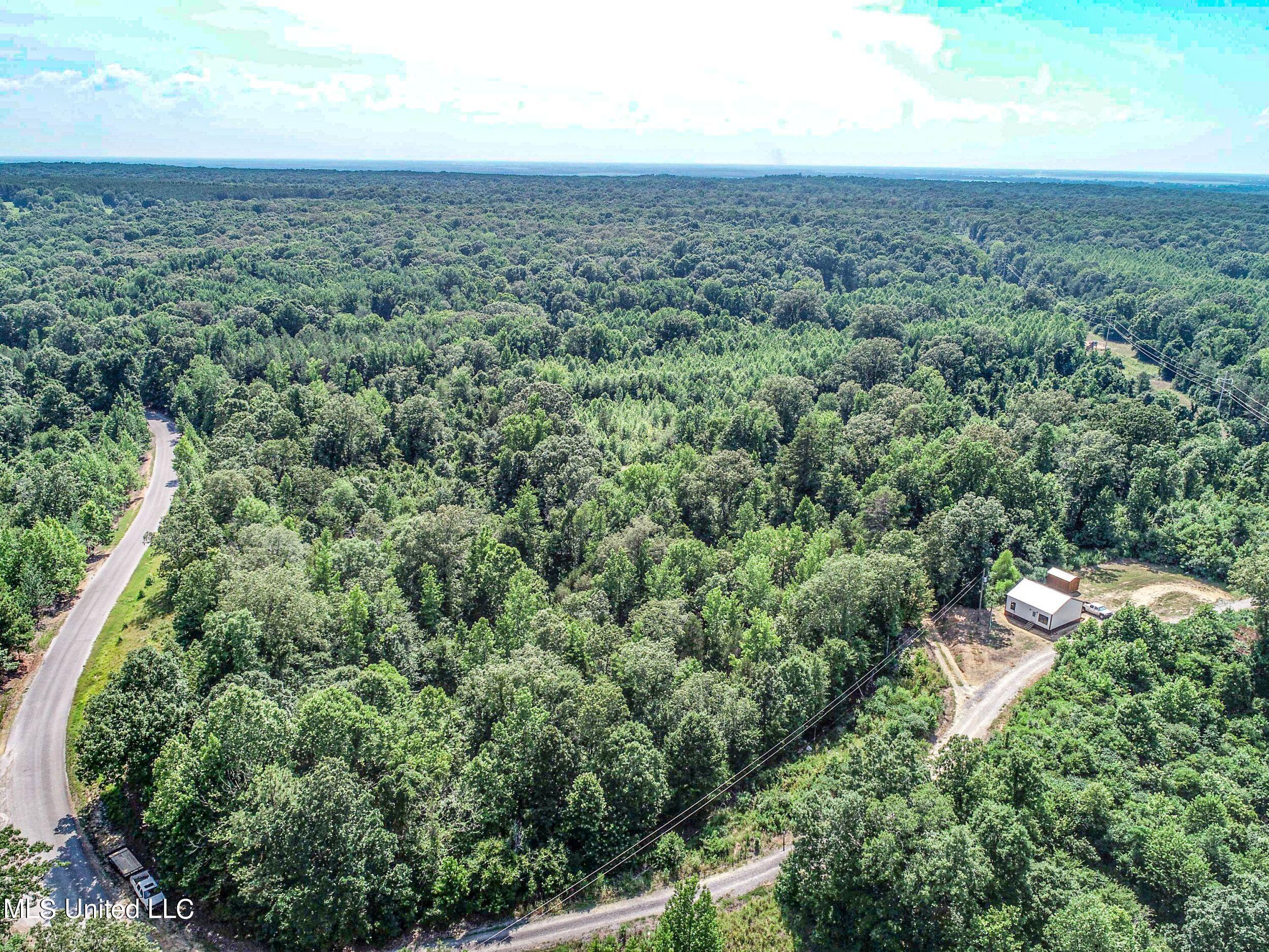 1765 Chapel Town Road Courtland, MS 38620 - Photo 11 of 81 1a.dcw81