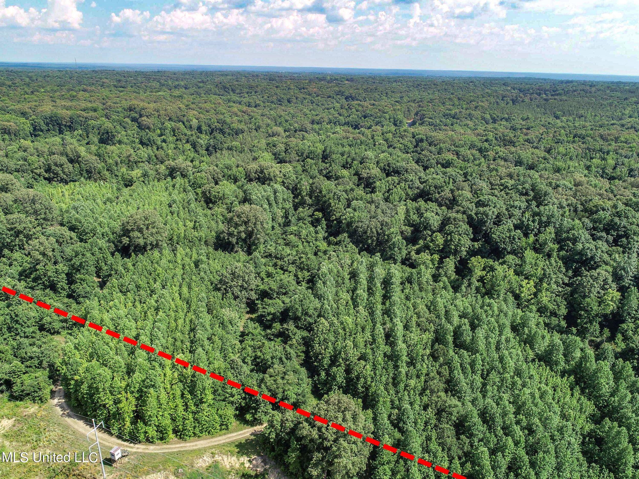 1765 Chapel Town Road Courtland, MS 38620 - Photo 17 of 81 1a.dcw96