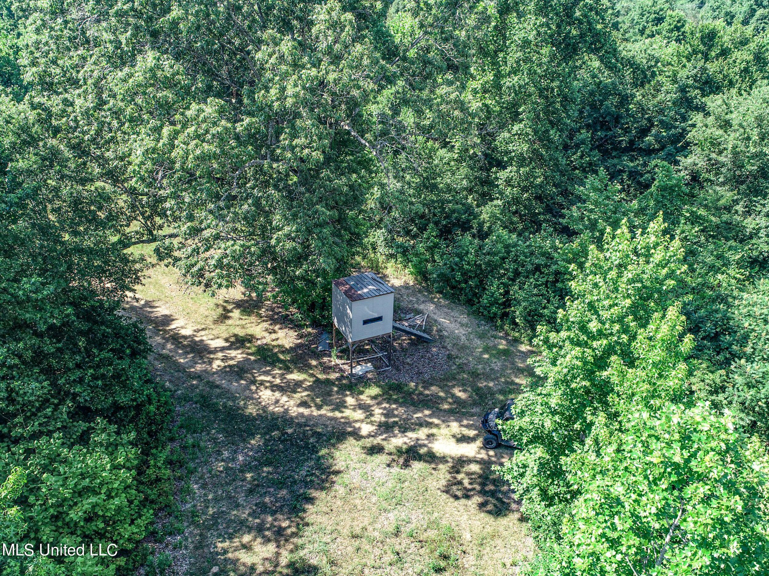 1765 Chapel Town Road Courtland, MS 38620 - Photo 24 of 81 1a.dcw107