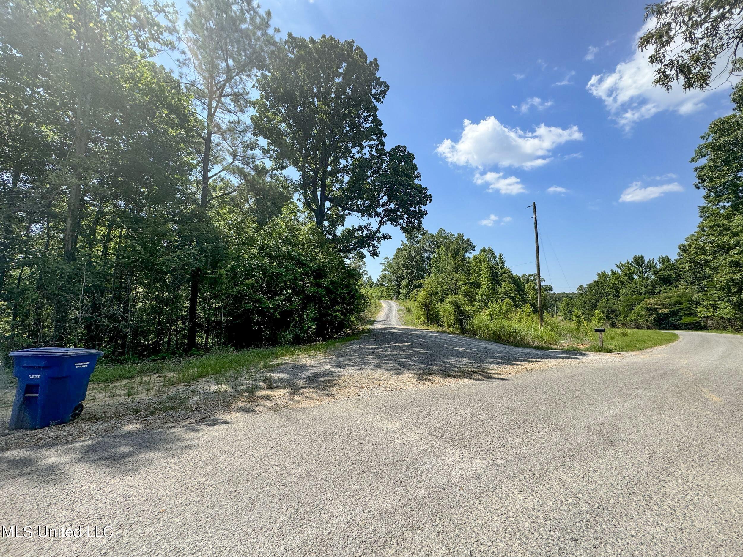 1765 Chapel Town Road Courtland, MS 38620 - Photo 29 of 81 1a.dcw4
