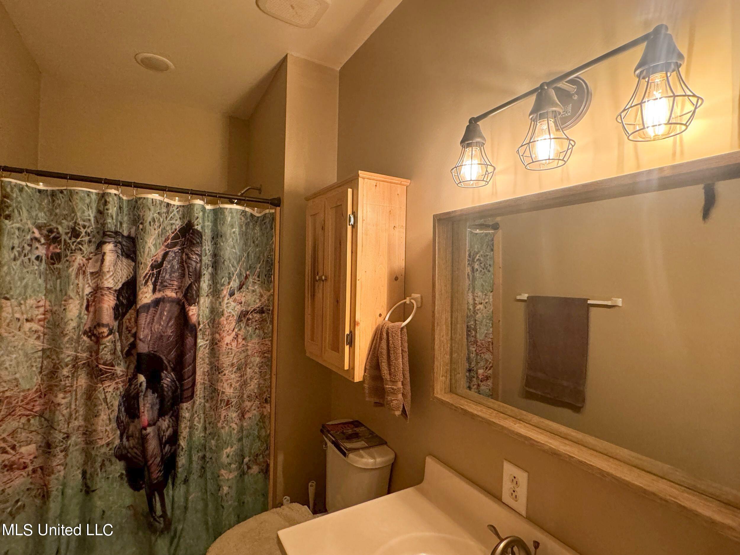 1765 Chapel Town Road Courtland, MS 38620 - Photo 57 of 81 1a.dcw39