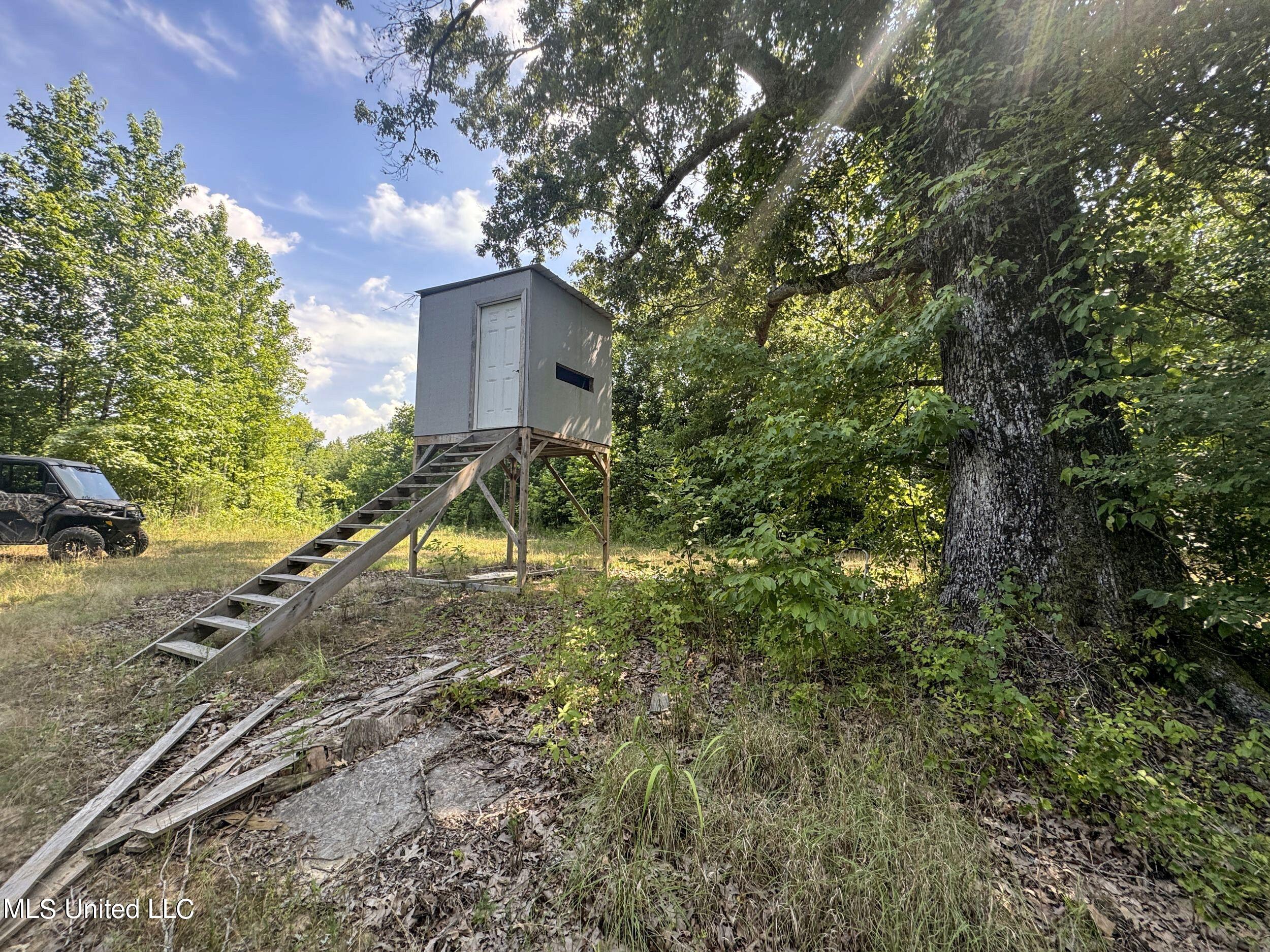 1765 Chapel Town Road Courtland, MS 38620 - Photo 70 of 81 1a.dcw53