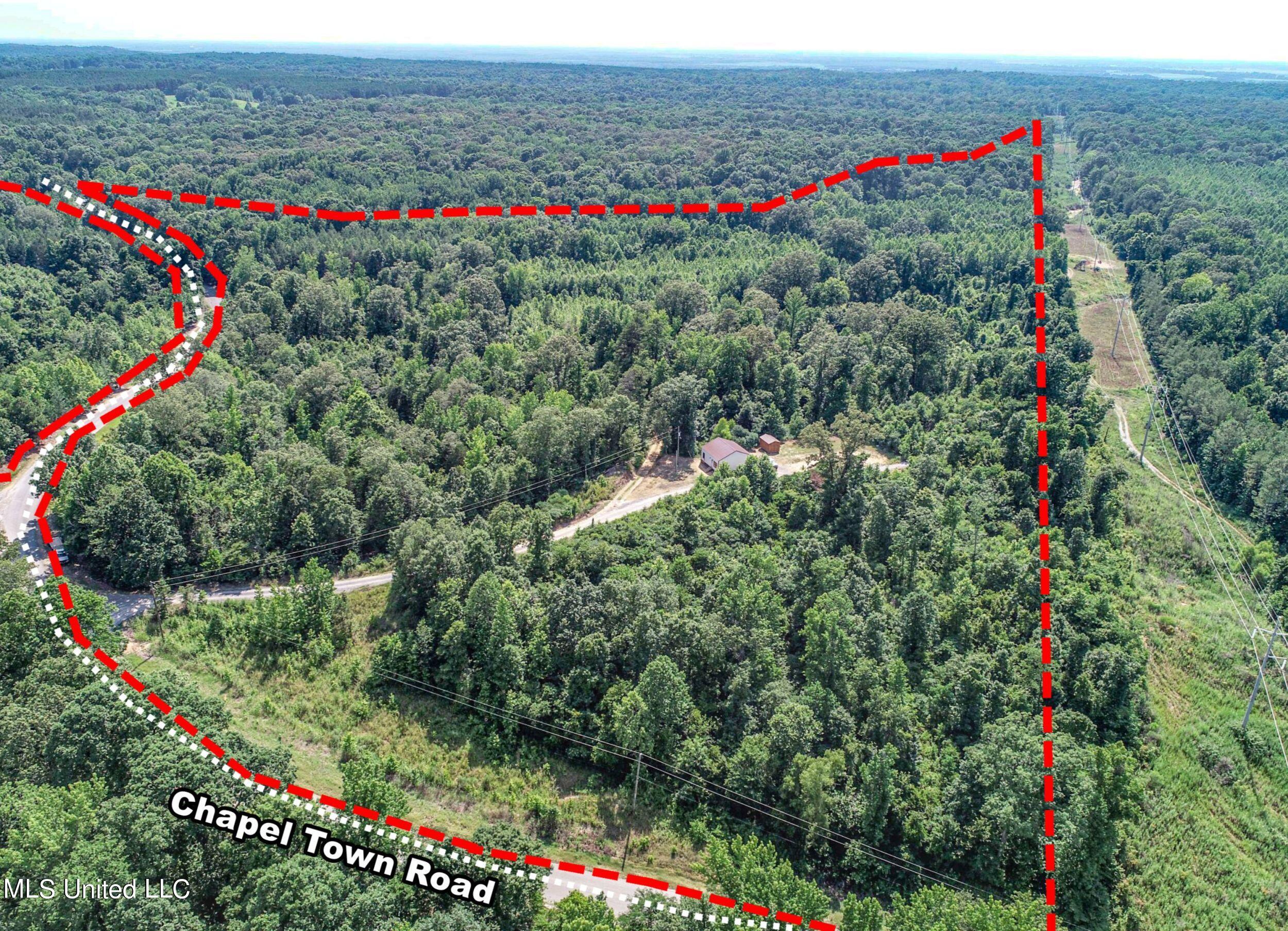 1765 Chapel Town Road Courtland, MS 38620 - Photo 8 of 81 1a.dcw75