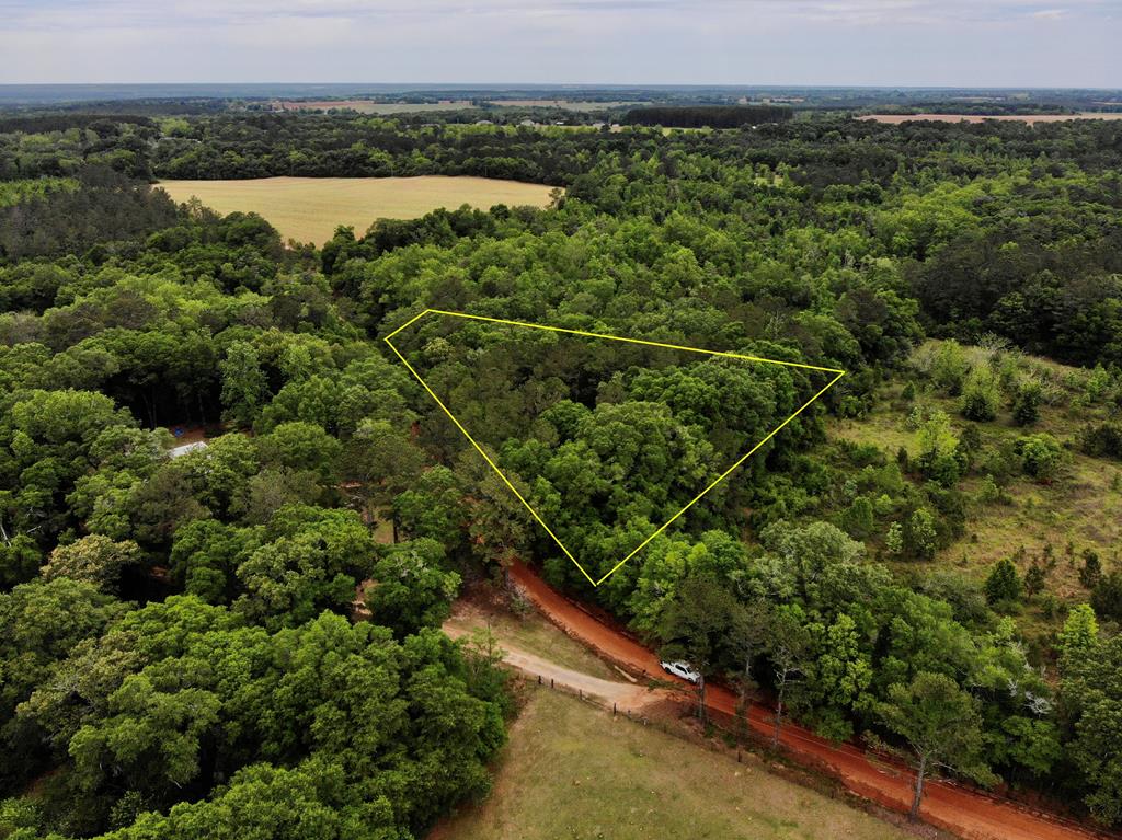 2-ac Corbin Road Newton, AL 36352 - Photo 15 of 15