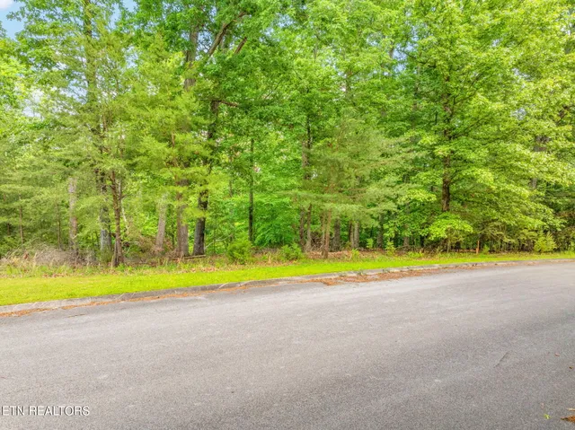 $75,000 | Lot 15 Waterstone Drive, Dandridge, TN 37725