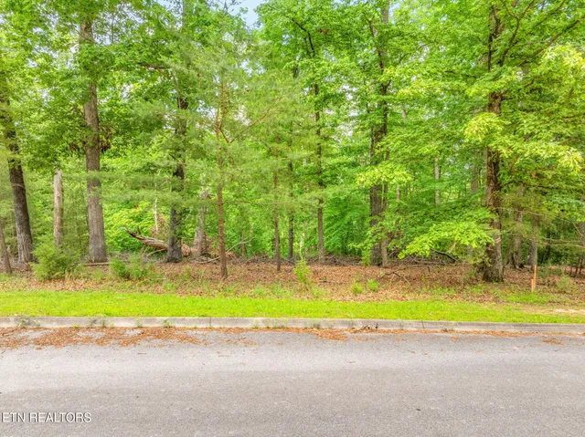 $75,000 | Lot 15 Waterstone Drive, Dandridge, TN 37725