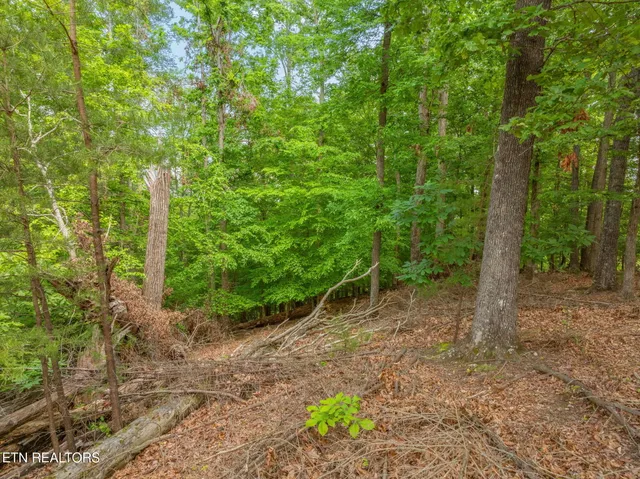 $75,000 | Lot 15 Waterstone Drive, Dandridge, TN 37725