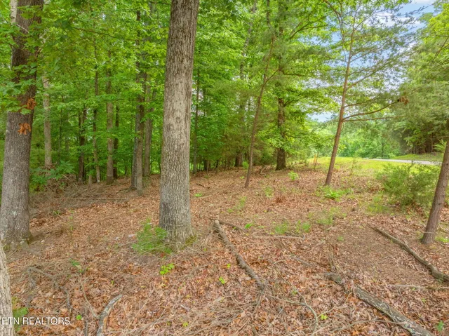 $75,000 | Lot 15 Waterstone Drive, Dandridge, TN 37725