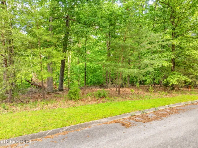 $75,000 | Lot 15 Waterstone Drive, Dandridge, TN 37725