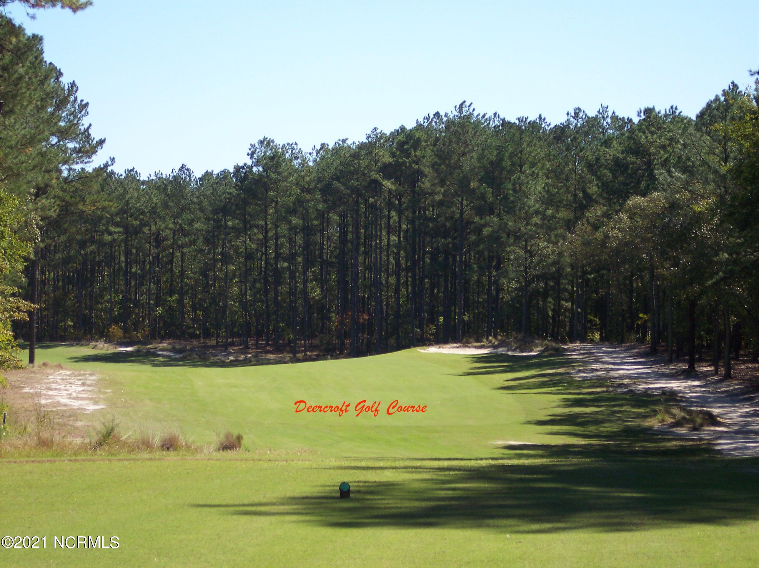 23 Raccoon Run Road Wagram, NC 28396 - Photo 5 of 6 Golf Course