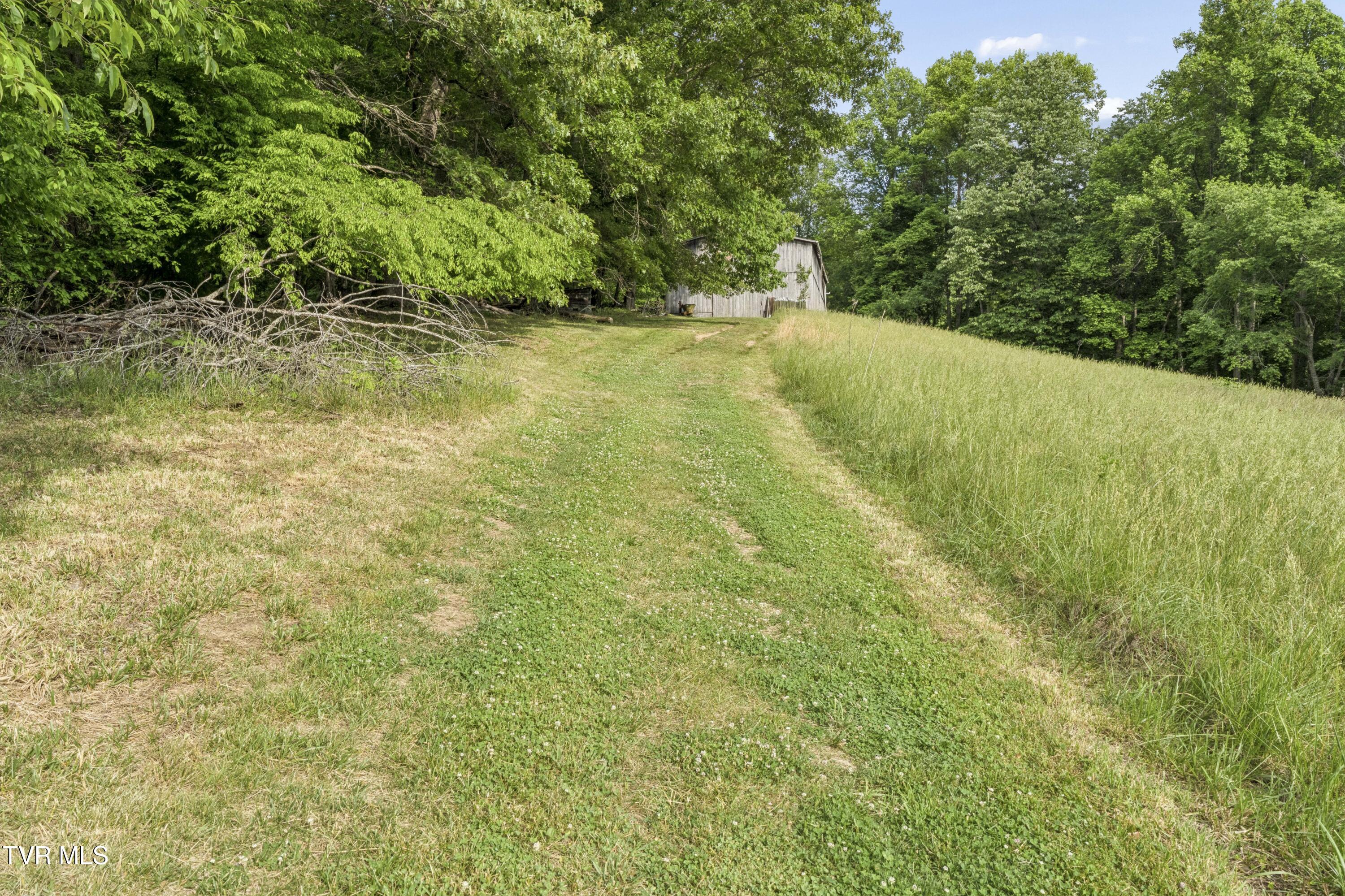 128 Lum McIntosh Road Erwin, TN 37650 - Photo 69 of 106 LumMc--53