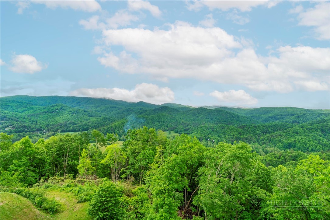 170 Profile Point, Unit S321 Boone, NC 28607 - Photo 11 of 50