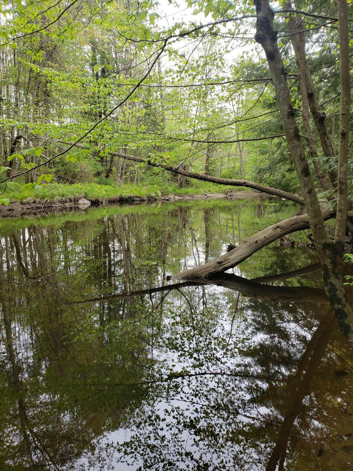 0 Hall Road Windham, ME 04062 - Photo 2 of 5 IMG_0288