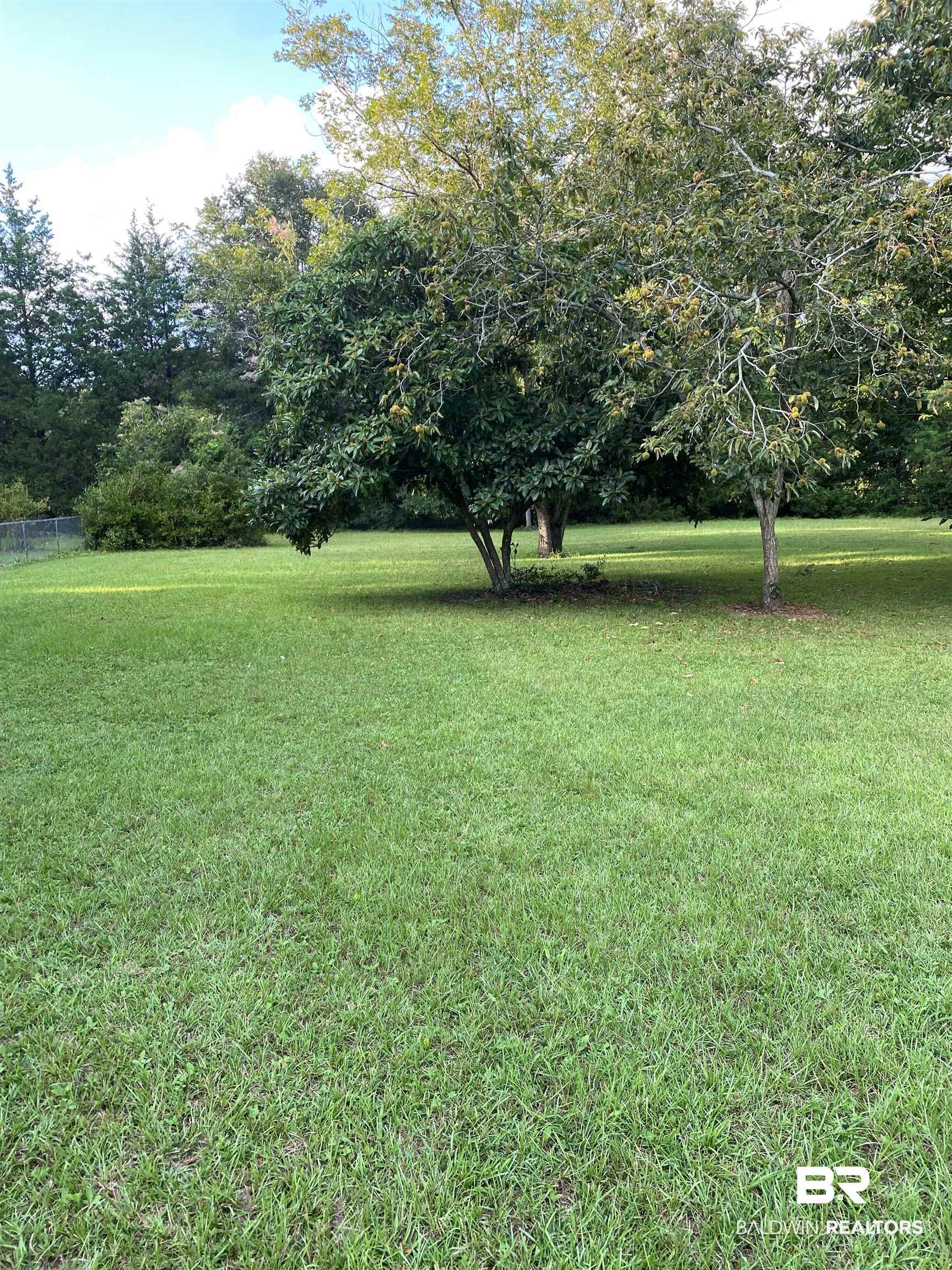 13313 J B Williams Road Loxley, AL 36551 - Photo 4 of 4