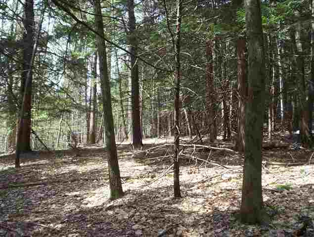 2 Ny Rt 66 Poestenkill, NY 12140 - Photo 4 of 4 Photo 4