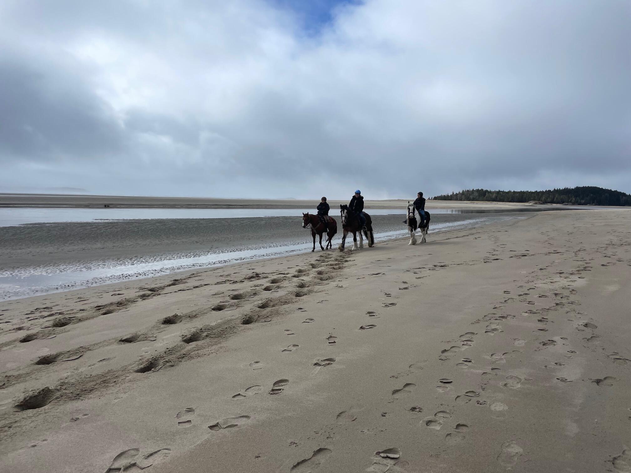 823 Popham Road Phippsburg, ME 04562 - Photo 64 of 82 IMG_1455