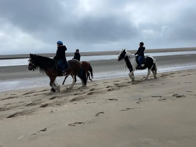 $4,250,000 | 823 Popham Road, Phippsburg, ME 04562