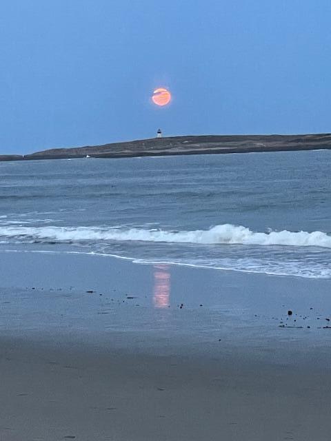 823 Popham Road Phippsburg, ME 04562 - Photo 67 of 82 IMG_3470