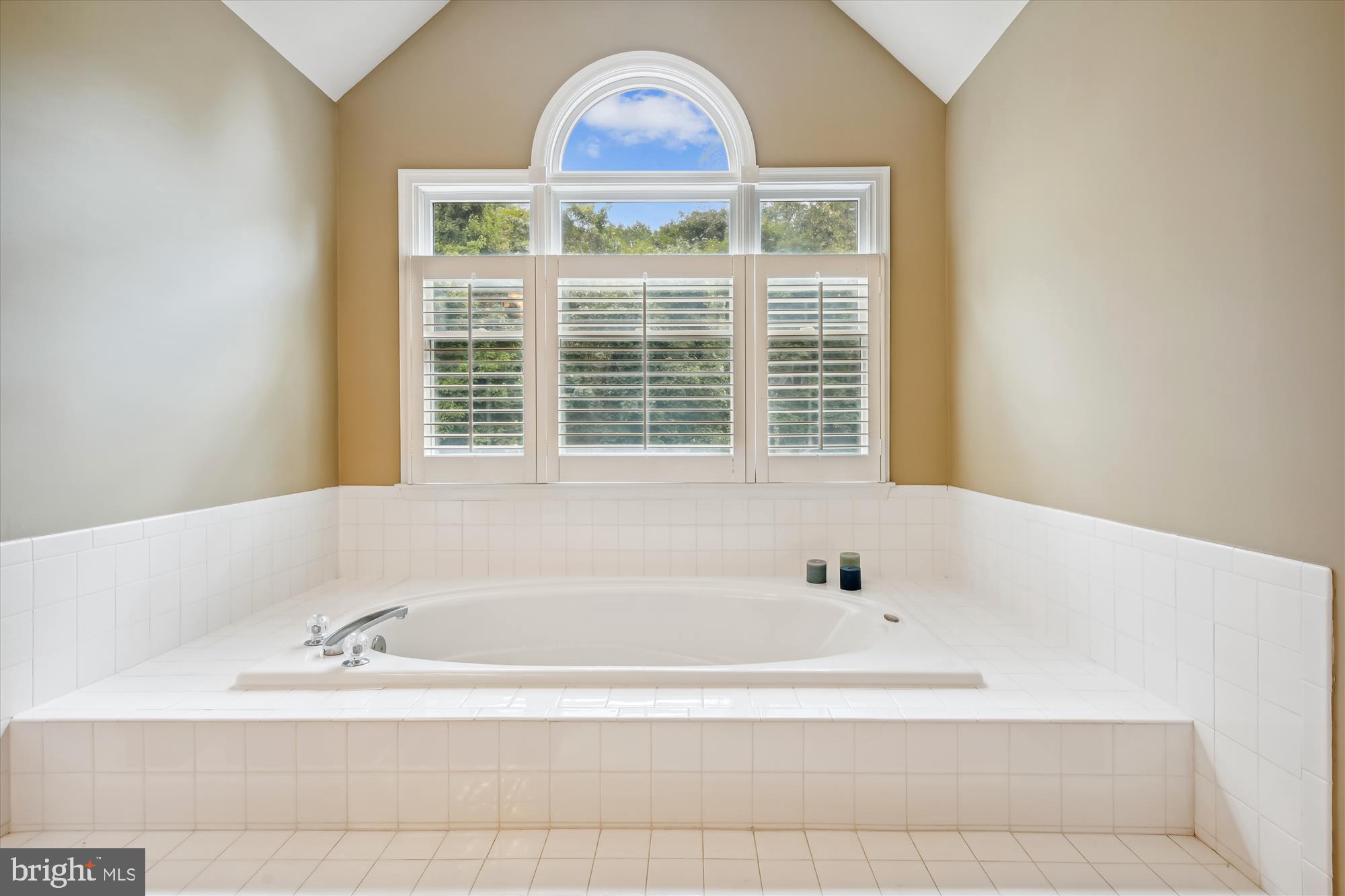 1124 Bay Ridge Road Annapolis, MD 21403 - Photo 41 of 60 Treetop Spa Tub by Palladian Window
