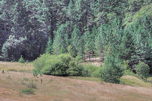10527 Lower River Road Grants Pass, OR 97526 - Photo 24 of 31 Additional Photo