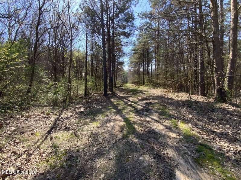 Smart Road Holly Springs, MS 38635 - Photo 1 of 6 Typical View
