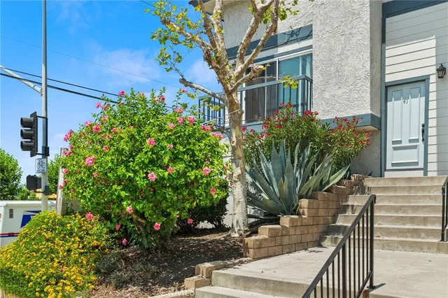 a view of a potted plants next to a building