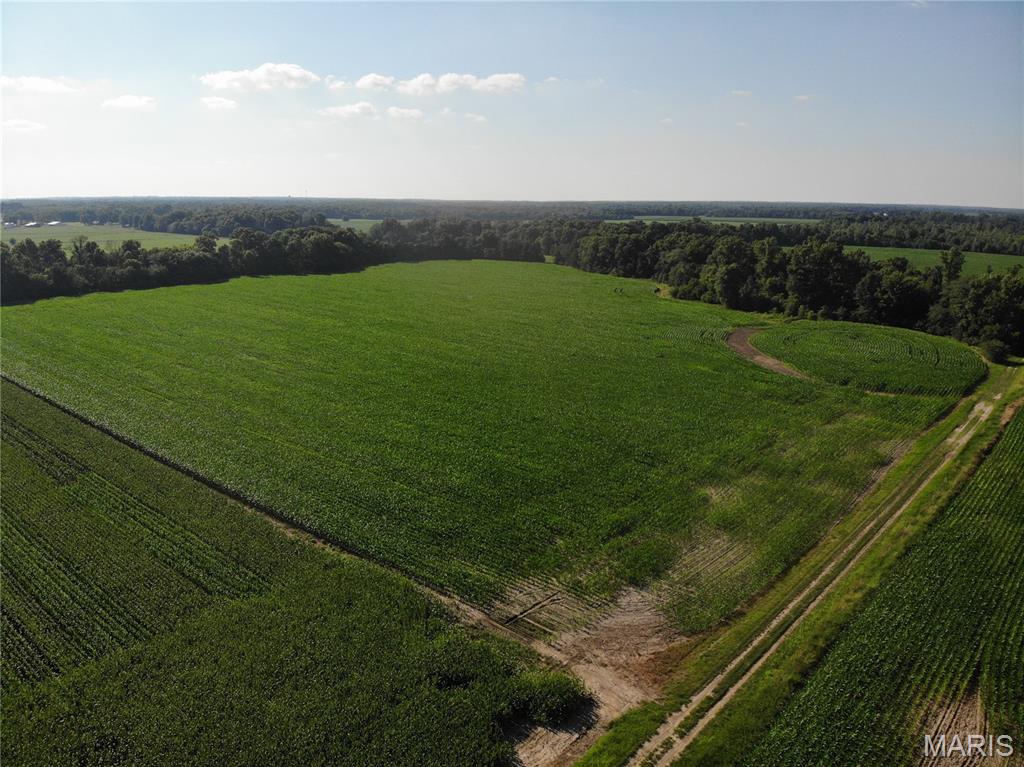 3601 Peachtree Road Salem, IL 62881 - Photo 6 of 10