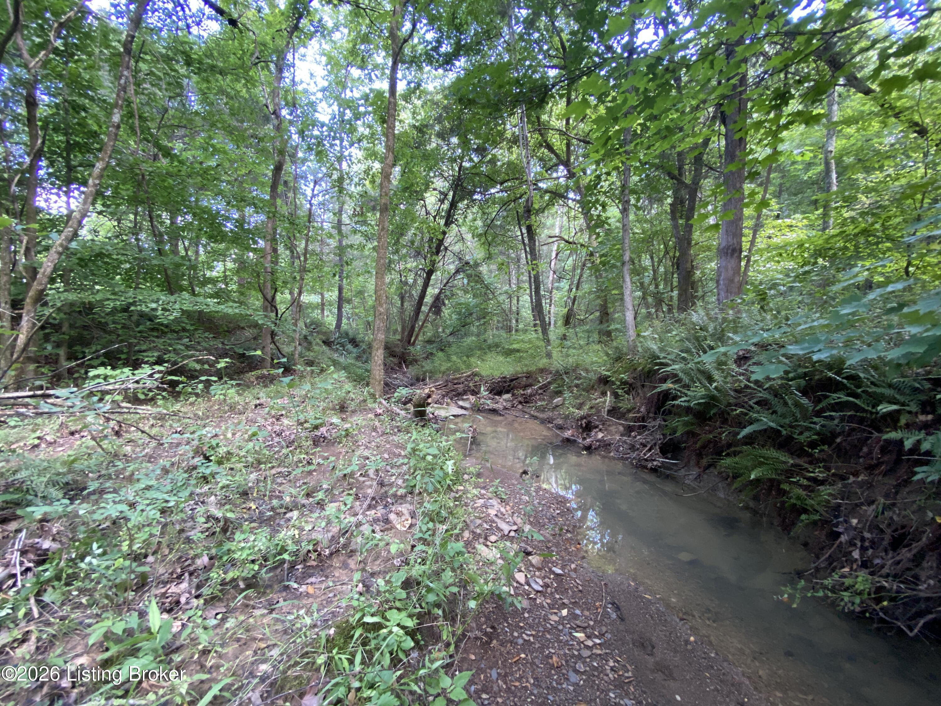 2551 Falls Of Rough Road Caneyville, KY 42721 - Photo 25 of 25 IMG_8788