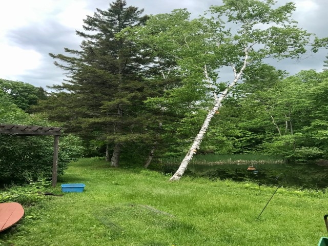 8 Mountain Top Road Chittenden, VT 05737 - Photo 18 of 23