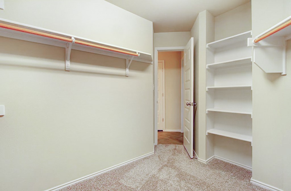 3453 Pauling Loop Round Rock, TX 78665 - Photo 20 of 28 a view of an empty walk in closet
