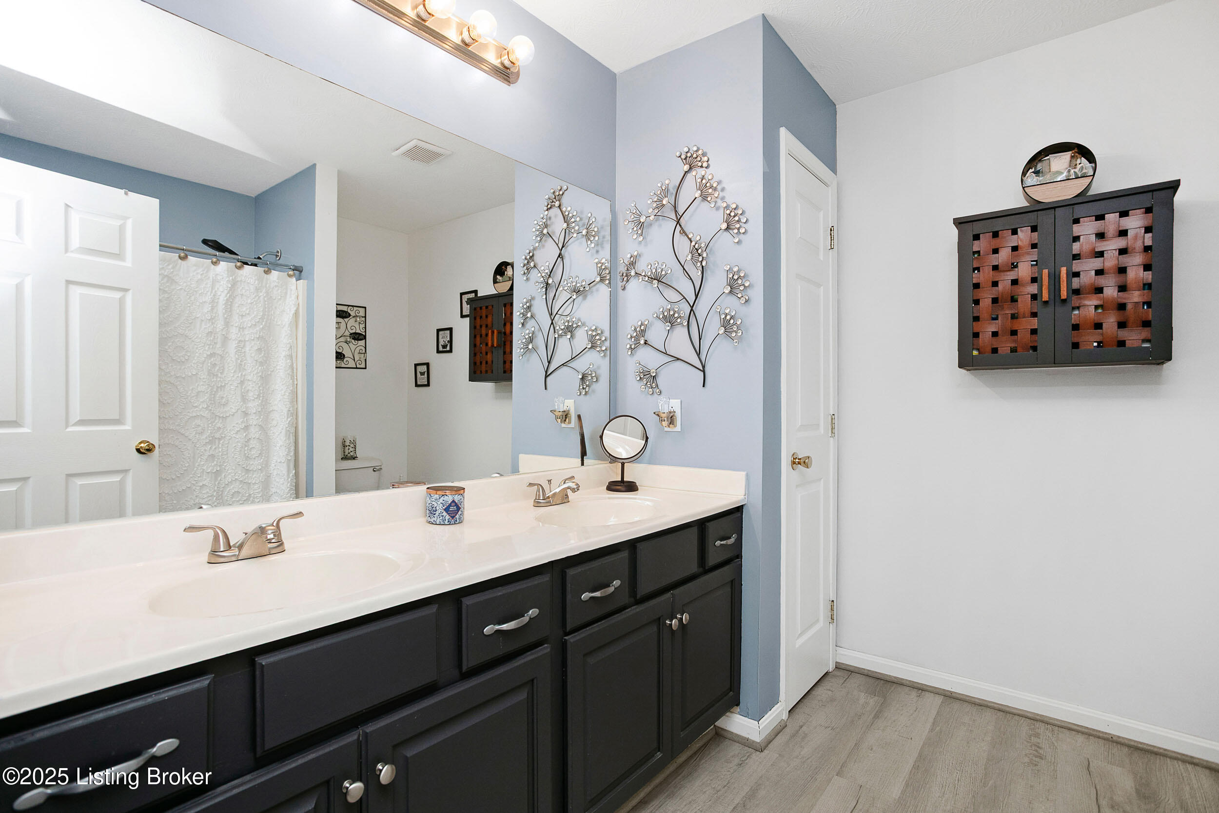 8044 Rineyville Road Rineyville, KY 40162 - Photo 11 of 23 Primary Bathroom