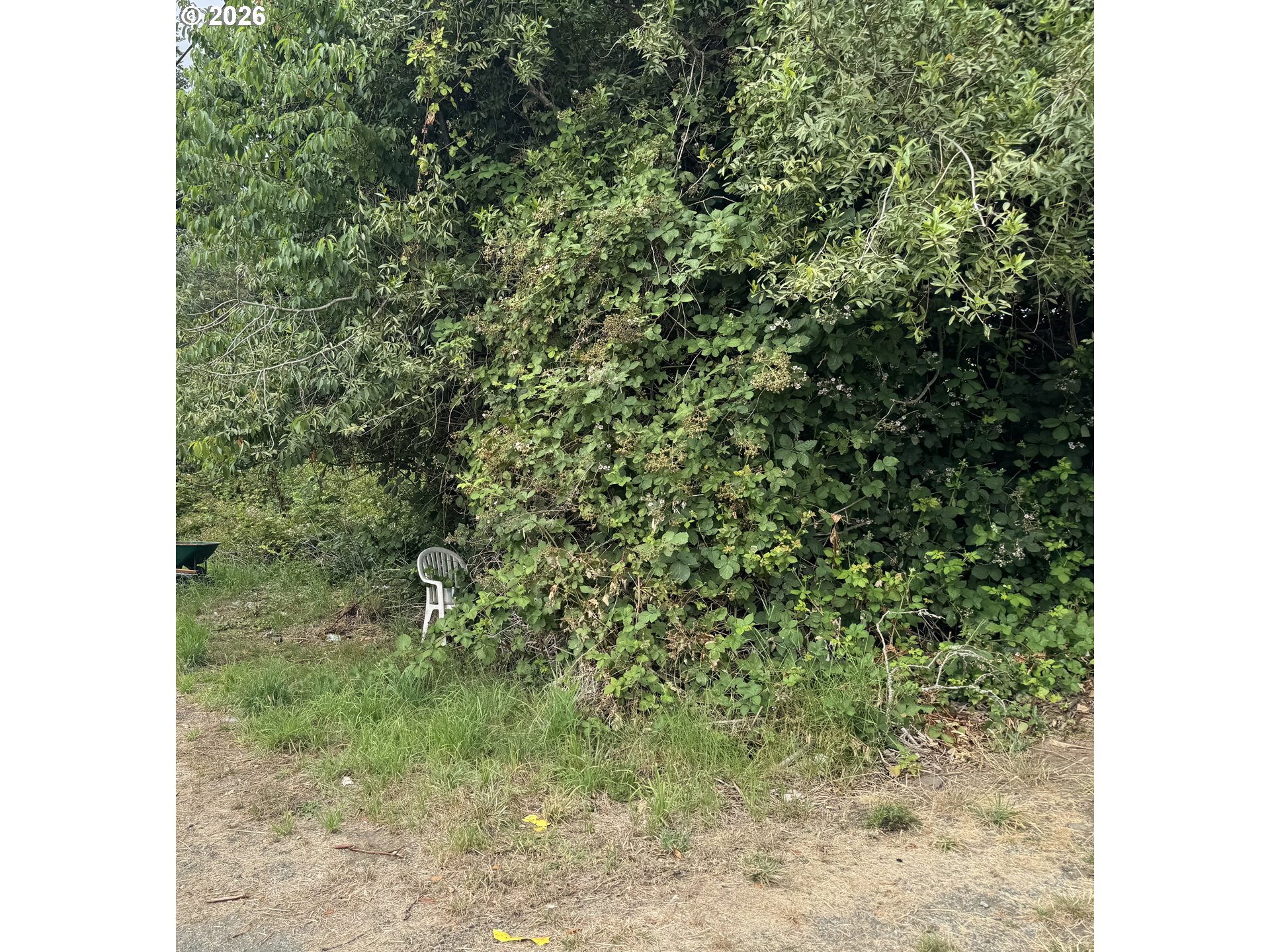 0 A Street Myrtle Point, OR 97458 - Photo 3 of 3