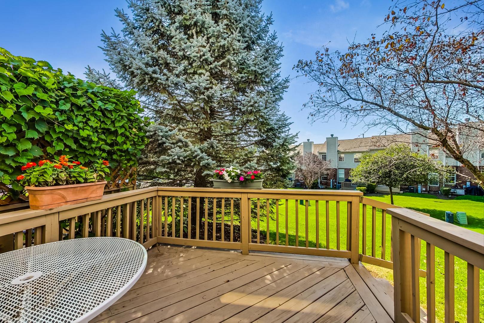 565 Goodwin Drive Bolingbrook, IL 60440 - Photo 37 of 44 a balcony with wooden floor and outdoor space