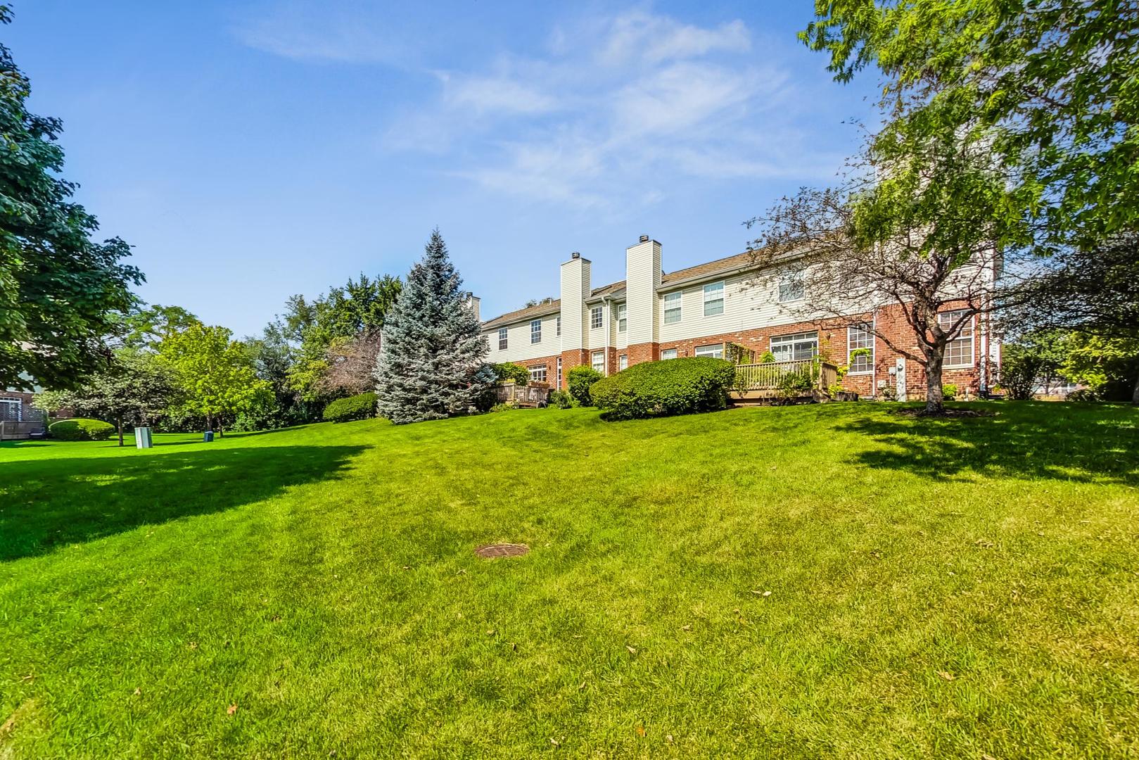 565 Goodwin Drive Bolingbrook, IL 60440 - Photo 40 of 44 a view of a big yard with large trees