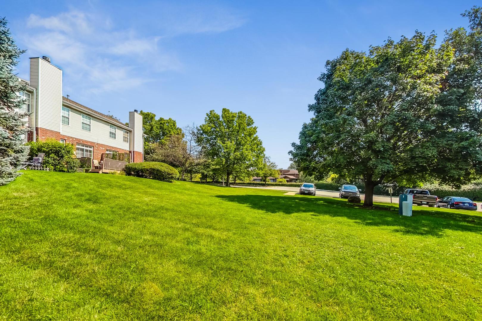 565 Goodwin Drive Bolingbrook, IL 60440 - Photo 41 of 44 a view of yard with swimming pool and green space
