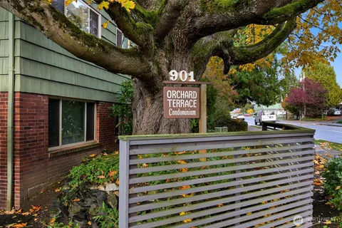 a view of a street with a tree
