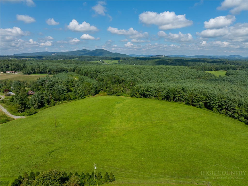 Mountain View Road Glade Valley, NC 28627 - Photo 11 of 19 Gallery Image 11